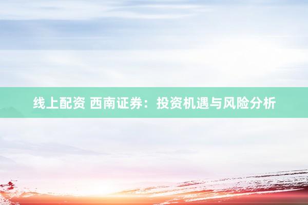 线上配资 西南证券：投资机遇与风险分析