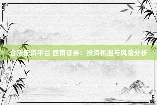 合法配资平台 西南证券：投资机遇与风险分析