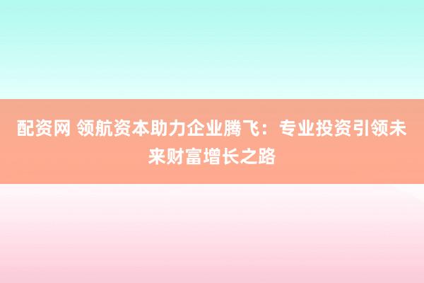 配资网 领航资本助力企业腾飞：专业投资引领未来财富增长之路