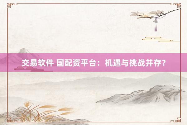 交易软件 国配资平台：机遇与挑战并存？
