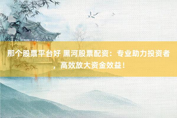 那个股票平台好 黑河股票配资：专业助力投资者，高效放大资金效益！
