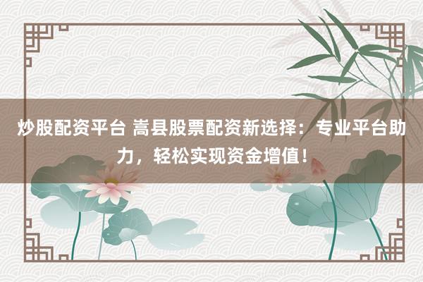 炒股配资平台 嵩县股票配资新选择：专业平台助力，轻松实现资金增值！