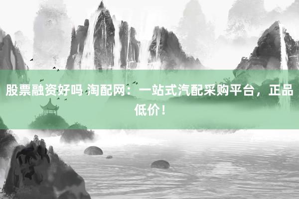 股票融资好吗 淘配网：一站式汽配采购平台，正品低价！