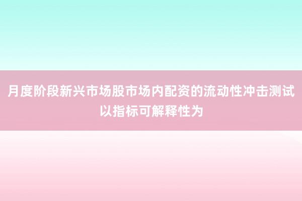 月度阶段新兴市场股市场内配资的流动性冲击测试以指标可解释性为