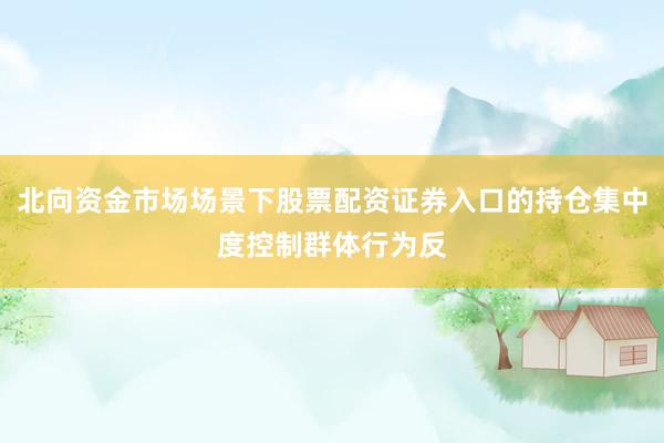 北向资金市场场景下股票配资证券入口的持仓集中度控制群体行为反